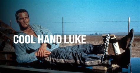  Cool Hand Luke! A Tale of Rebellion and Dignity Against the Prison System